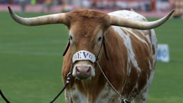 Texas Football Mandatory Credit: Kirby Lee-USA TODAY Sports