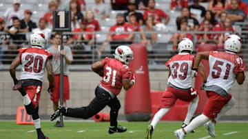 Jul 29, 2016; Glendale, AZ, USA; Arizona Cardinals running back David Johnson (31) runs with the ball during training camp at University of Phoenix Stadium. Mandatory Credit: Joe Camporeale-USA TODAY Sports