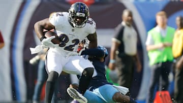 NASHVILLE, TN - NOVEMBER 05: Benjamin Watson (Photo by Michael Reaves/Getty Images)