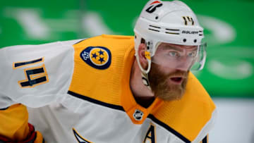 Nashville Predators (Photo Credit: Jerome Miron-USA TODAY Sports)