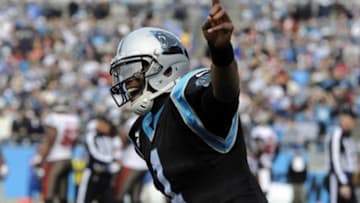 Dec 1, 2013; Charlotte, NC, USA; Carolina Panthers quarterback Cam Newton celebrates after scoring a touchdown during the first half of the game against the Tampa Bay Buccaneers at Bank of America Stadium. Mandatory Credit: Sam Sharpe-USA TODAY Sports