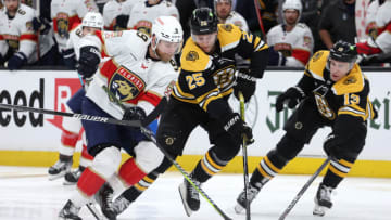 Boston Bruins, Florida Panthers. (Photo by Maddie Meyer/Getty Images)