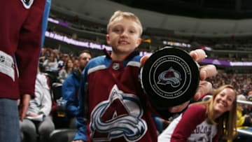 Colorado Avalanche(Photo by Michael Martin/NHLI via Getty Images)