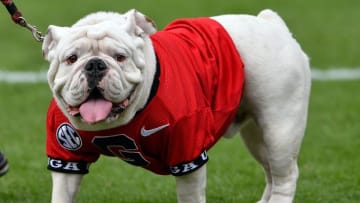 Oct 15, 2016; Athens, GA, USA; Georgia Bulldogs mascot UGA shown on the field during the game against the Vanderbilt Commodores at Sanford Stadium. Vanderbilt defeated Georgia 17-16. Mandatory Credit: Dale Zanine-USA TODAY Sports