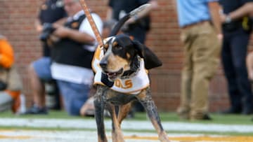 Oct 15, 2016; Knoxville, TN, USA; Tennessee Volunteers mascot Smokey X during the second half against the Alabama Crimson Tide at Neyland Stadium. Alabama won 49 to 10. Mandatory Credit: Randy Sartin-USA TODAY Sports