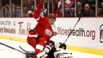 DETROIT, MI - DECEMBER 13: Dylan Larkin