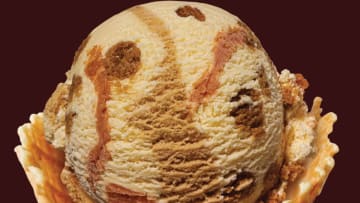 Baskin-robbins November Flavor of the Month, photo provided by Baskin-Robbins