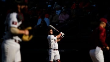 Clemson baseball defeats South Carolina 11-5 at Fluor Field Saturday, March 2, 2019.Jm Clemson 030219 029