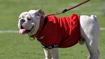 Oct 1, 2016; Athens, GA, USA; Georgia Bulldogs mascot UGA shown during the game against the Tennessee Volunteers during the first half at Sanford Stadium. Tennessee defeated Georgia 34-31. Mandatory Credit: Dale Zanine-USA TODAY Sports