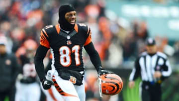 Dec 8, 2013; Cincinnati, OH, USA; Cincinnati Bengals tight end Alex Smith (81) reacts after a call was reviewed for a touchdown during the second quarter against the Indianapolis Colts at Paul Brown Stadium. Mandatory Credit: Andrew Weber-USA TODAY Sports