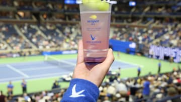 (Photo by Monica Schipper/Getty Images for Grey Goose)