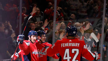 Garnet Hathaway, Washington Capitals Mandatory Credit: Geoff Burke-USA TODAY Sports