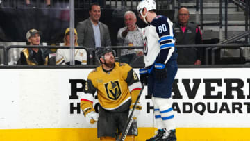 Winnipeg Jets (Mandatory Credit: Stephen R. Sylvanie-USA TODAY Sports)