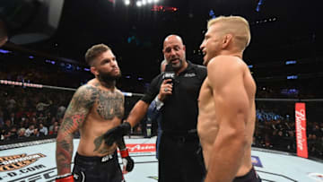 NEW YORK, NY - NOVEMBER 04: TJ Dillashawand Cody Garbrandt face off before their UFC bantamweight championship bout during the UFC 217 event at Madison Square Garden on November 4, 2017 in New York City. (Photo by Josh Hedges/Zuffa LLC/Zuffa LLC via Getty Images)