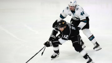 LA Kings (Mandatory Credit: Gary A. Vasquez-USA TODAY Sports)