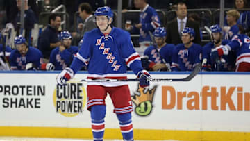 Credit: Brad Penner-USA TODAY Sports