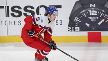 BUFFALO, NY - JANUARY 05: Filip Zadina #18 of Czech Republic skates the puck up ice against the Czech Republic during the first period of play in the IIHF World Junior Championships Bronze Medal game at KeyBank Center on January 5, 2018 in Buffalo, New York. (Photo by Nicholas T. LoVerde/Getty Images)
