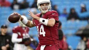 Jan 3, 2015; Charlotte, NC, USA; Arizona Cardinals quarterback Ryan Lindley (14) warms up before the 2014 NFC Wild Card playoff football game against the Carolina Panthers at Bank of America Stadium. Mandatory Credit: Bob Donnan-USA TODAY Sports