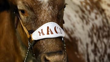 (Photo by Ronald Martinez/Getty Images)