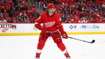 DETROIT, MI - OCTOBER 04: Libor Sulak #47 of the Detroit Red Wings skates against the Columbus Blue Jackets at Little Caesars Arena on October 4, 2018 in Detroit, Michigan. (Photo by Gregory Shamus/Getty Images)