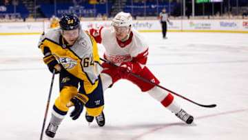 Adam Erne #73 of the Detroit Red Wings checks Mikael Granlund (Photo by Brett Carlsen/Getty Images)