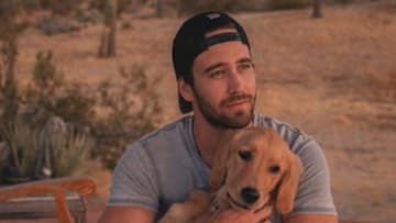 'The Bachelor: Listen to Your Heart's Trevor Holmes asks fans who his celebrity lookalikes are.