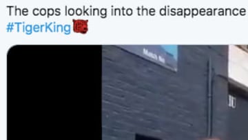 Carole Baskin memes from 'Tiger King' on Netflix