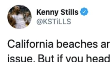 Houston Texans wide receiver Kenny Stills shares his beach experience when birds steal his burrito