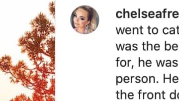 Freddie Freeman's wife, Chelsea, posted an Instagram on Tuesday which confirmed the death of the couple's cat. 