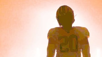 The new Browns jersey have been unveiled...sort of.