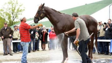 Apr 30, 2015; Lousiville, KY, USA; Roberto Luna washes Kentucky Derby entrant Dortmund after work outs at Churchill Downs. Mandatory Credit: Jamie Rhodes-USA TODAY Sports