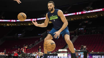 Rudy Gobert, Minnesota Timberwolves Mandatory Credit: Troy Wayrynen-USA TODAY Sports