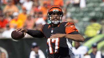 Sep 21, 2014; Cincinnati, OH, USA; Cincinnati Bengals quarterback Jason Campbell (17) looks to pass during the second half against the Tennessee Titans at Paul Brown Stadium. The Bengals won 33-7. Mandatory Credit: Aaron Doster-USA TODAY Sports