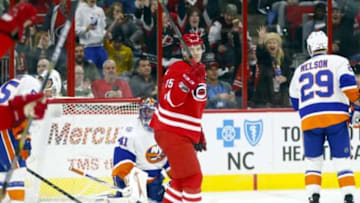 Feb 13, 2016; Raleigh, NC, USA; Carolina Hurricanes forward Andrej Nestrasil (15) celebrates his second period goal against New York Islanders goalie Jaroslav Halak (41) at PNC Arena. Mandatory Credit: James Guillory-USA TODAY Sports