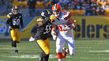 PITTSBURGH, PA - JANUARY 01: Gary Barnidge