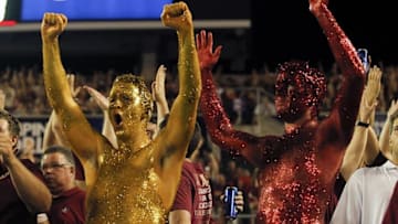 Sep 5, 2016; Orlando, FL, USA; Florida State Seminoles fans react after a touchdown in the fourth quarter against the Mississippi Rebels at Camping World Stadium. Florida State Seminoles won 45-34. Mandatory Credit: Logan Bowles-USA TODAY Sports