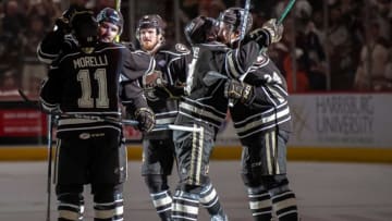 Riley Sutter, Hershey Bears