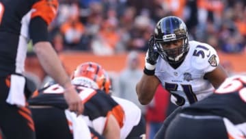 Jan 3, 2016; Cincinnati, OH, USA; Baltimore Ravens inside linebacker Daryl Smith (51) against the Cincinnati Bengals at Paul Brown Stadium. The bengals won 24-16. Mandatory Credit: Aaron Doster-USA TODAY Sports