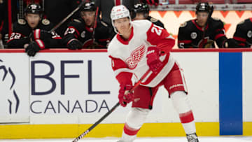 Apr 3, 2021; Ottawa, Ontario, CAN; Detroit Red Wings defenseman Gustav Lindstrom (28) controls the puck in the first period against the Ottawa Senators at the Canadian Tire Centre. Mandatory Credit: Marc DesRosiers-USA TODAY Sports