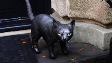 NEW YORK, NEW YORK - OCTOBER 30: A black cat is part of a Halloween display in front of an Upper East Side home on October 30, 2020 in New York City. Many Halloween events have been canceled or adjusted with additional safety measures due to the ongoing coronavirus (COVID-19) pandemic. (Photo by Cindy Ord/Getty Images)