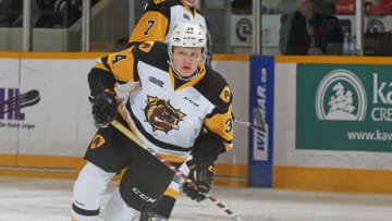 PETERBOROUGH, ON - NOVEMBER 10: Arthur Kaliyev #34 of the Hamilton Bulldogs skates against the Peterborough Petes in an OHL game at the Peterborough Memorial Centre on November 10, 2018 in Peterborough, Ontario, Canada. (Photo by Claus Andersen/Getty Images)