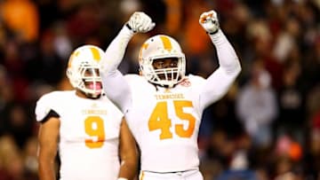 COLUMBIA, SC - NOVEMBER 01: Teammate Derek Barnett