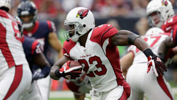 HOUSTON, TX - NOVEMBER 19: Adrian Peterson (Photo by Tim Warner/Getty Images)