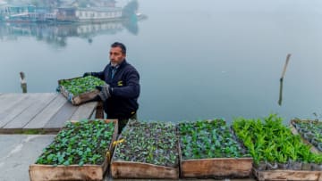 SRINAGAR, INDIA - 2022/12/02: A man holds a tray of vegetable plants to sell during a cold foggy winter morning in Srinagar. Night temperatures across Kashmir dropped below the freezing point. Morning chill and dense fog kept most Kashmiris indoors till a feeble sun started struggling its way through a thin layer of winter clouds. (Photo by Idrees Abbas/SOPA Images/LightRocket via Getty Images)