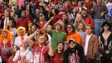 Oct 31, 2015; Fayetteville, AR, USA; Arkansas Razorbacks fans in Halloween costumes cheer during the game against the Tennessee Martin Skyhawks at Donald W. Reynolds Razorback Stadium. Arkansas defeated UTM 63-28. Mandatory Credit: Nelson Chenault-USA TODAY Sports