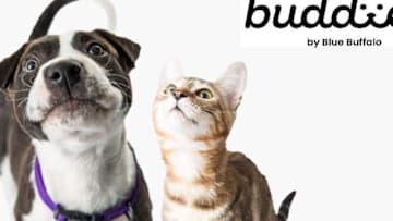 Blue Buffalo launches Buddies app for pet parents