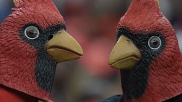 Sep 5, 2015; Atlanta, GA, USA; Louisville Cardinals fans prior to facing the Auburn Tigers in the 2015 Chick-fil-A Kickoff Game at the Georgia Dome. Mandatory Credit: John David Mercer-USA TODAY Sports