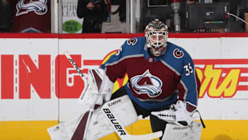 DENVER, CO - JANUARY 04: Goaltender Andrew Hammond