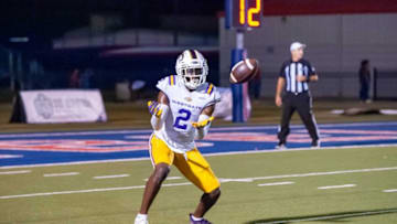 Derek Williams, Texas Football