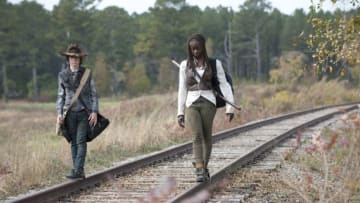 Carl Grimes (Chandler Riggs) and Michonne (Danai Gurira) - The Walking Dead _ Season 4, Episode 15 - Photo Credit: Gene Page/AMC